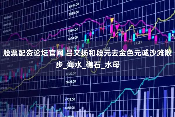 股票配资论坛官网 吕文扬和段元去金色元诚沙滩散步_海水_礁石_水母